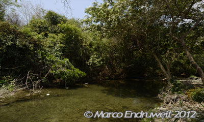 Rio Almoloya - E-MEX 31-11